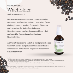 GEMMOMAZERAT  GEMEINER WACHOLDER - JUNIPERUS COMMUNIS  BIO